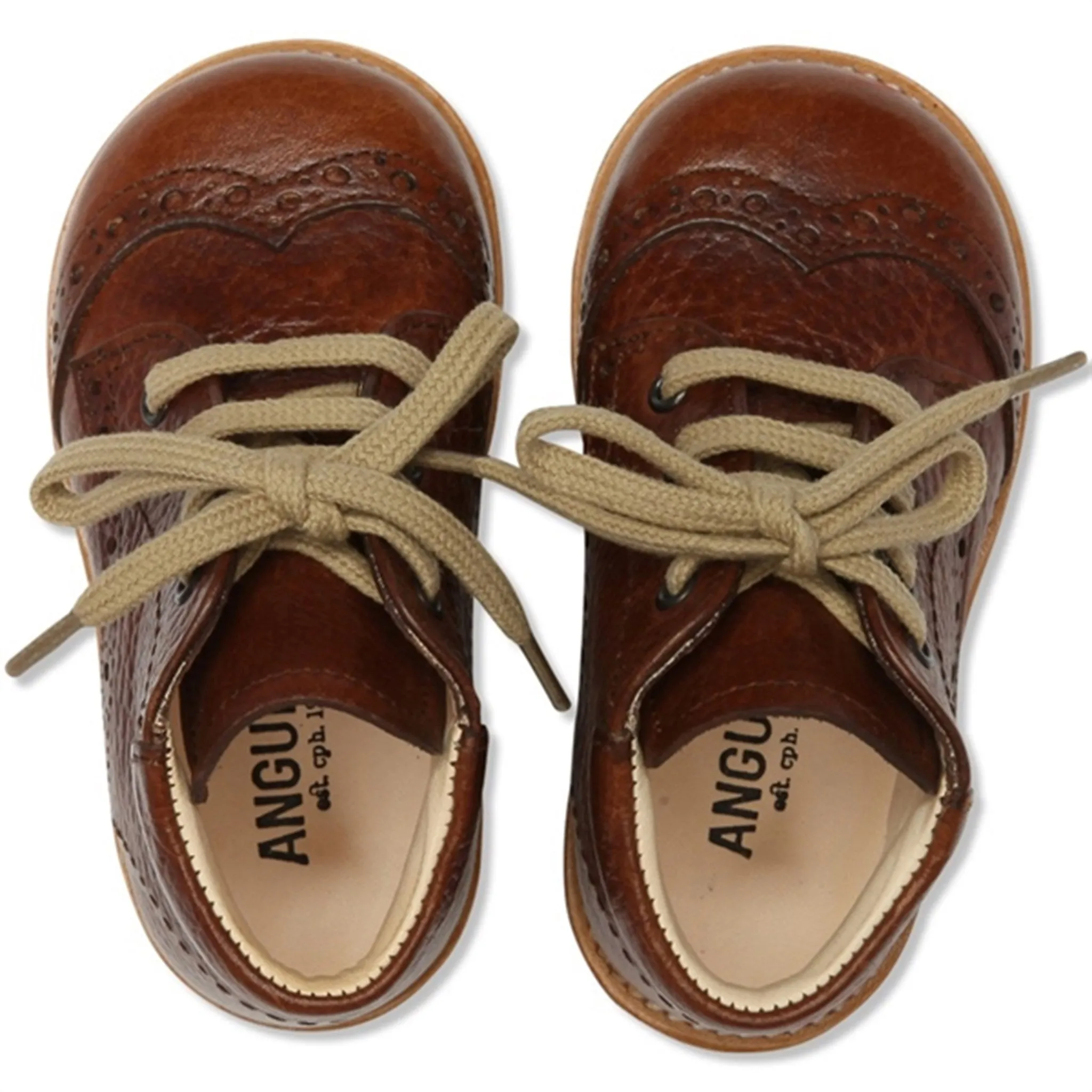 Angulus Shoe With Laces Cognac